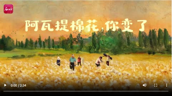 在线炒股配资服务网 短视频丨阿瓦提棉花，你变了_大皖新闻 | 安徽网