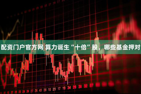 配资门户官方网 算力诞生“十倍”股，哪些基金押对